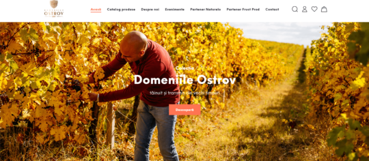Domeniile Ostrov-min