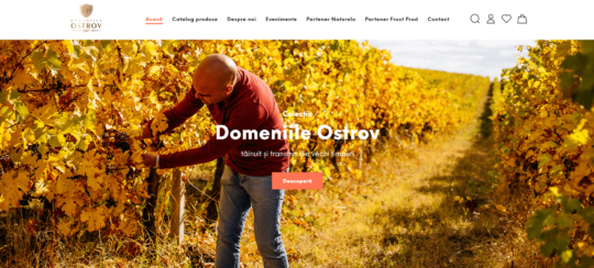 Domeniile Ostrov-min