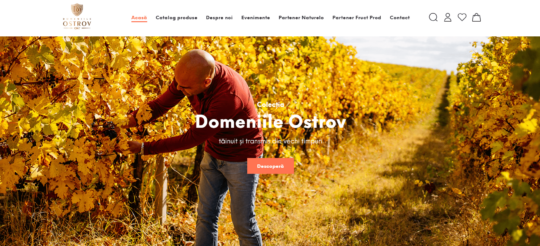 Domeniile Ostrov-min